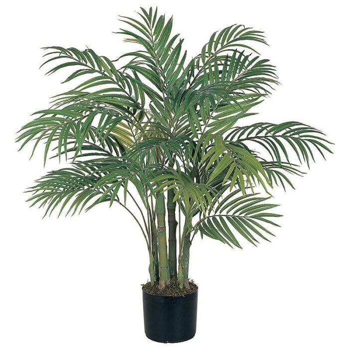 Areca Silk Palm Tree - 3 Ft