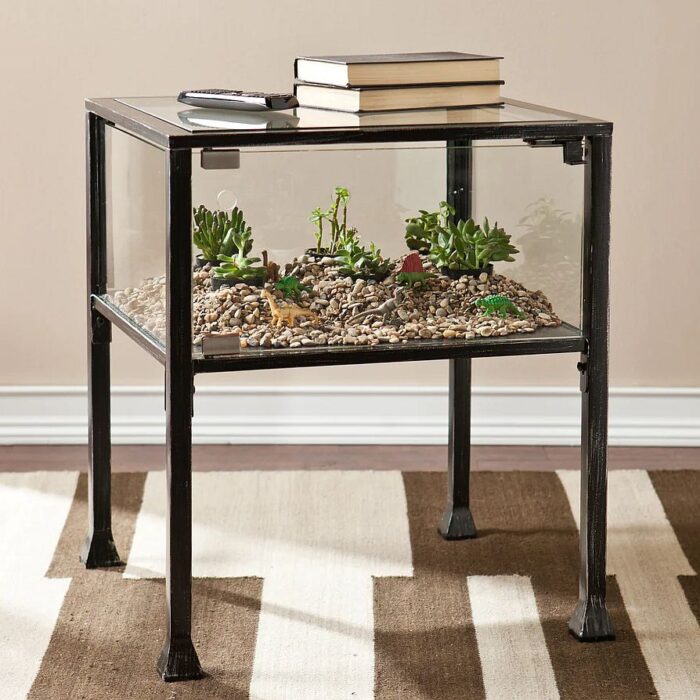 Terrarium Display End Table