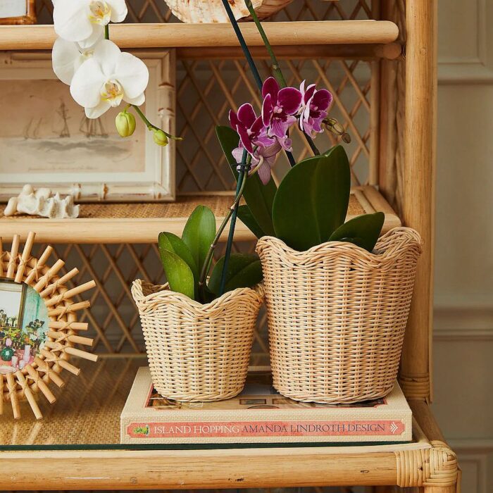 Wavy Wicker Orchid Basket Set of 3