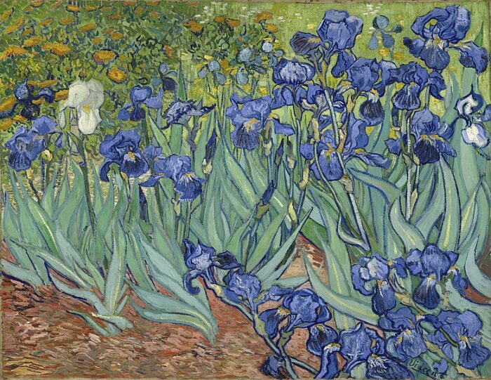 #10 - Irises by Vincent Van Gogh
