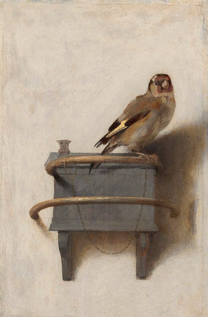 #22 - The Goldfinch by Carel Fabritius