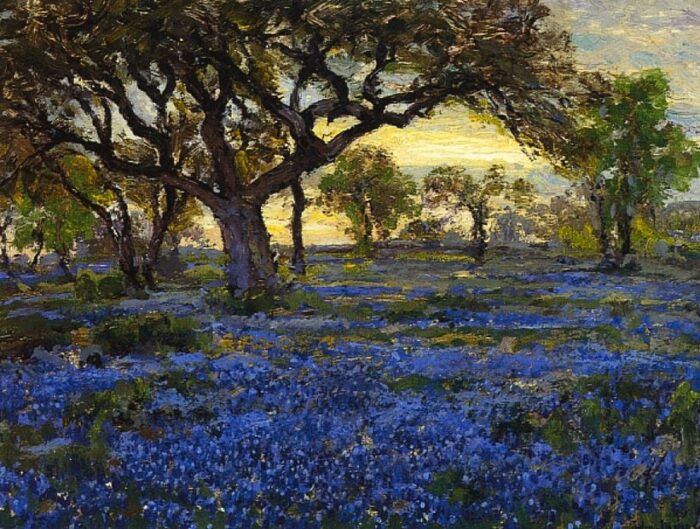 #38 Old Live Oak Tree and Bluebonnets on the West Texas Military Grounds, San Antonio