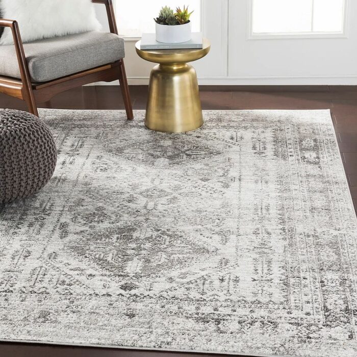 Evry Vintage Heriz Area Rug